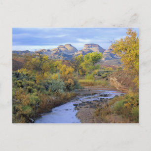 UTAH. USA. Pleasant Creek im Herbst bei Sonnenaufg Postkarte