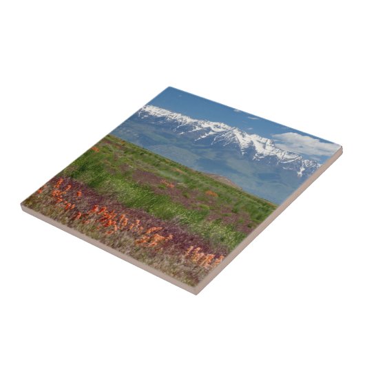 Utah, USA. Timpanogos erhebt sich oben Fliese (Seite)