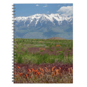 Utah, USA. Timpanogos erhebt sich oben Notizblock