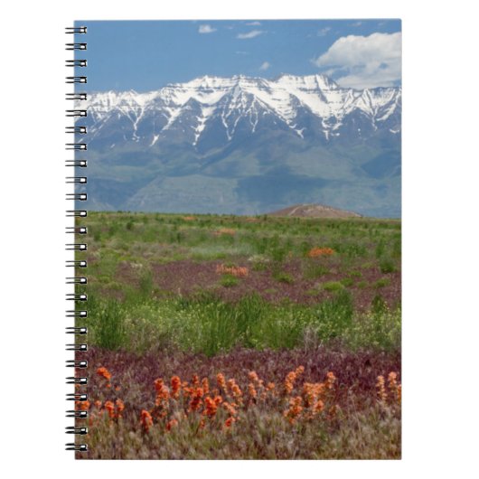 Utah, USA. Timpanogos erhebt sich oben Notizblock (Vorderseite)