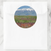 Utah, USA Timpanogos Runder Aufkleber (Tasche)