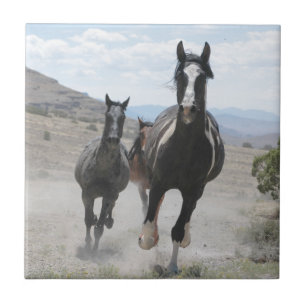 Utah Wild Horses Running Fliese