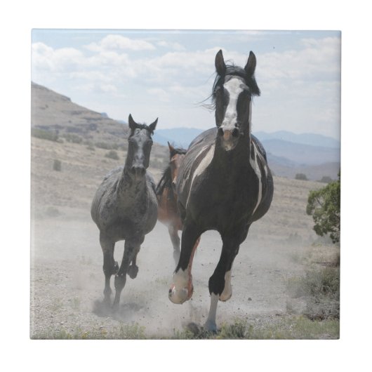 Utah Wild Horses Running Fliese (Vorderseite)