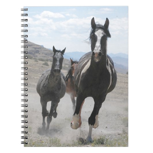 Utah Wild Horses Running Notizblock (Vorderseite)