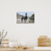 Utah Wild Horses Running Poster (Küche)