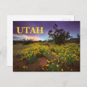 Utah Wüste Wildblumen Postkarte (Vorne/Hinten)