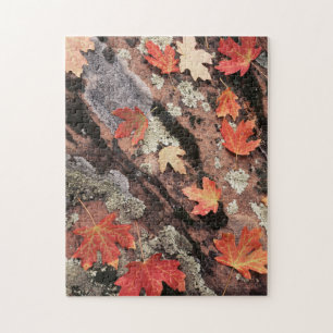 Utah, Zion National Park, Muster des Herbstes Puzzle