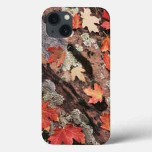 Utah, Zion Nationalpark, Herbstmuster Case-Mate iPhone Hülle