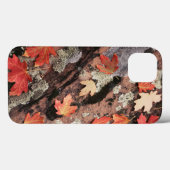 Utah, Zion Nationalpark, Herbstmuster Case-Mate iPhone Hülle (Rückseite (Horizontal))