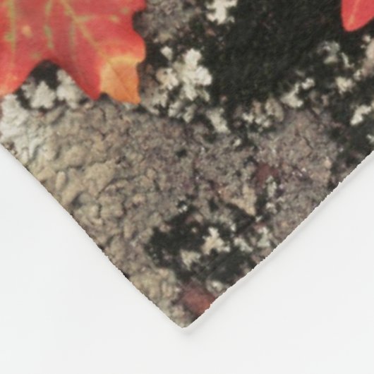 Utah, Zion Nationalpark, Herbstmuster Fleecedecke (Ecke)