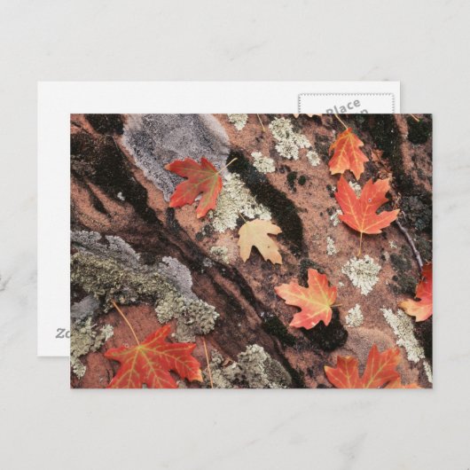 Utah, Zion Nationalpark, Herbstmuster Postkarte (Vorne/Hinten)