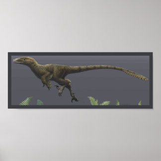 Utahraptor Poster