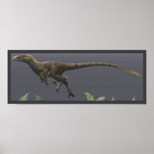 Utahraptor Poster (Vorne)