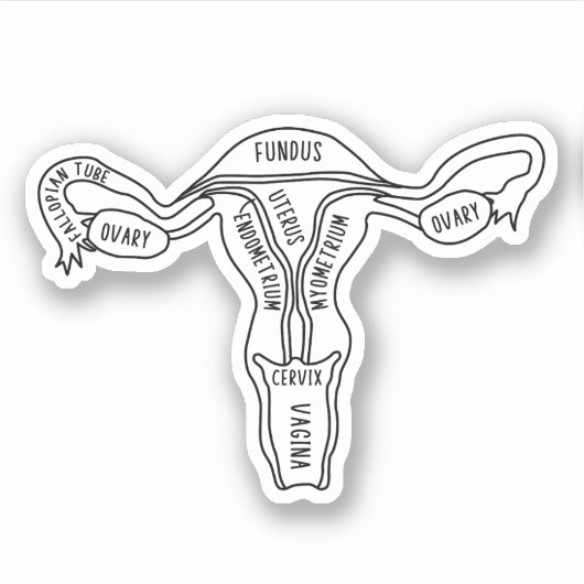 Uterus Anatomie, Feministin, Gynäkologin, Hebamme Aufkleber (Vorderseite)