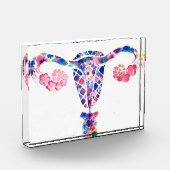 Uterus Fotoblock (Links)