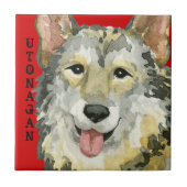 Utonagan-Farbblock Fliese (Vorderseite)