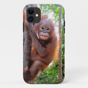 Uttuh Baby-Orang-Utan in der Dschungel-Schule Case-Mate iPhone Hülle