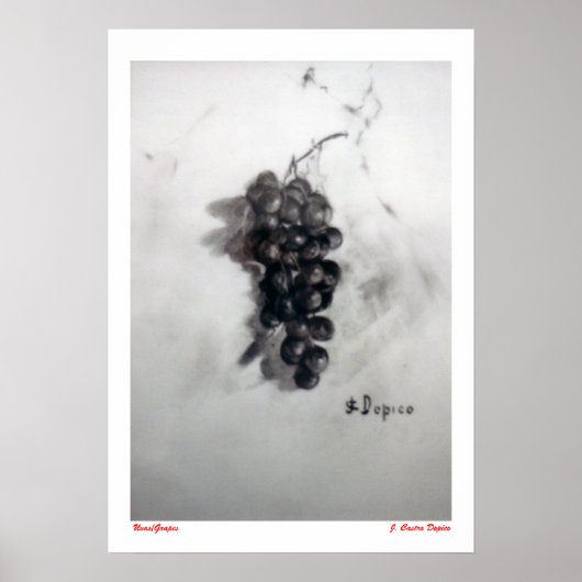 Uvas/Trauben Poster (Vorne)