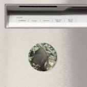 UW Angel Fish Magnet: chan-chemuyil.com Magnet (In Situ (Geschirrspüler))