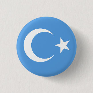 Uyghur/Ostturkestan-Flagge Button