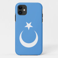 Uyghur/Ostturkestan-Flagge