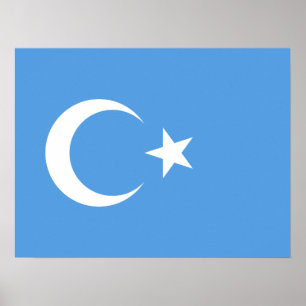 Uyghur/Ostturkestan Poster