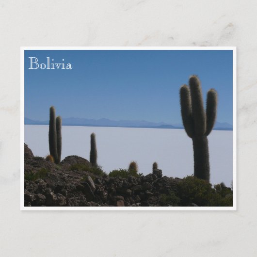 Uyuni cacti bolivia postkarte (Vorderseite)