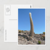 uyuni cacti up postkarte (Vorne/Hinten)
