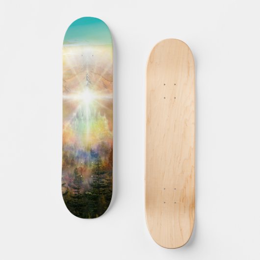 V097 Resilient m Shasta Skateboard (Vorderseite)