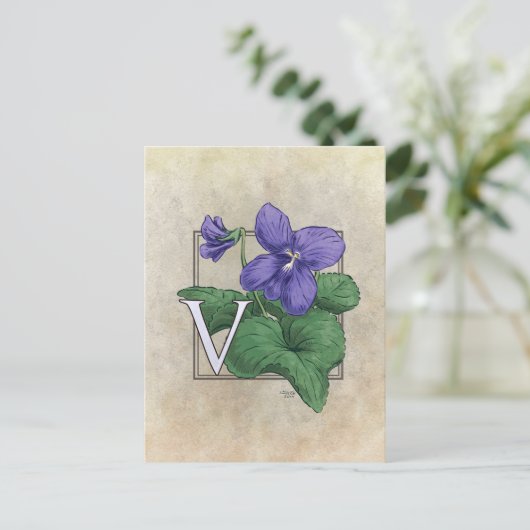 V für Violets Blume Monogramm Postkarte (Stehend Vorderseite)
