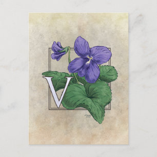 V für Violets Blume Monogramm Postkarte