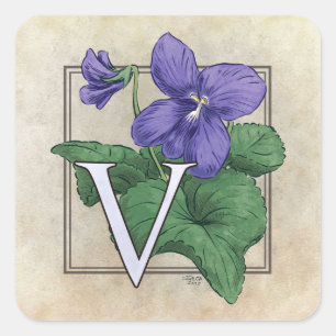 V für Violets Blume Monogramm Quadratischer Aufkleber