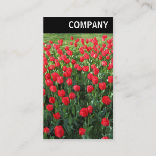 V Header - Bett aus roten Tulpen 01 Visitenkarte