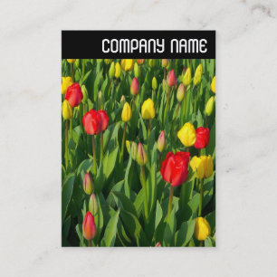 V Header - Farbige Tulpen II Visitenkarte