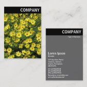 V Kopf - Gelbe Milchsorten Visitenkarte (Vorne/Hinten)