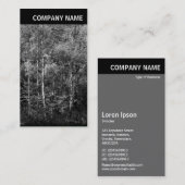 V Kopfzeile - Bild - Buchenbaume Visitenkarte (Vorne/Hinten)