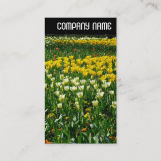 V Kopfzeile - Frühlingsblumen Visitenkarte