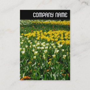 V Kopfzeile - Frühlingsblumen Visitenkarte