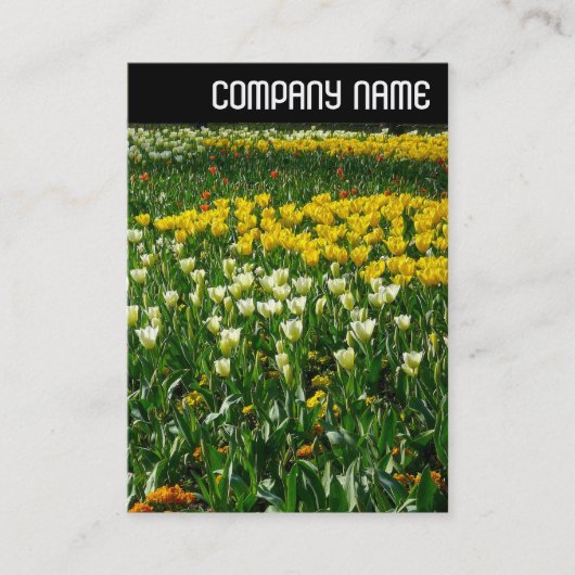 V Kopfzeile - Frühlingsblumen Visitenkarte (Vorderseite)