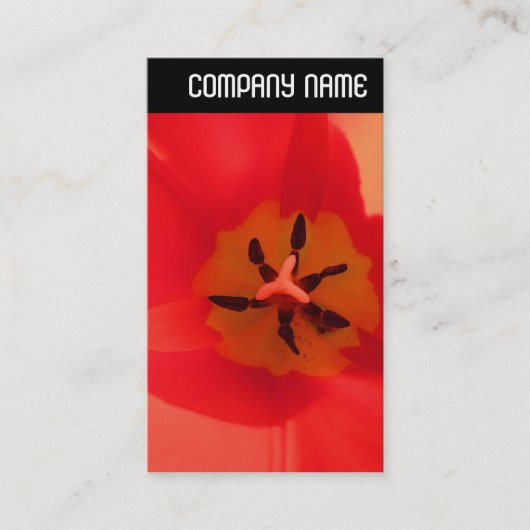 V Kopfzeile: Innerhalb einer Tulpe Visitenkarte (Vorderseite)