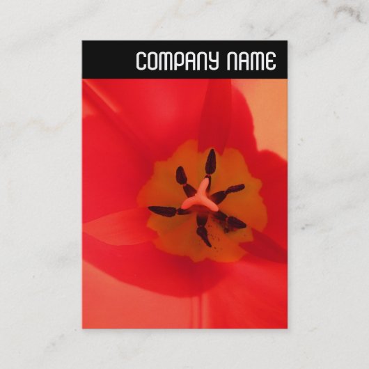 V Kopfzeile: Innerhalb einer Tulpe Visitenkarte (Vorderseite)