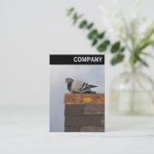 V Leiter - Gute Morgentaube Visitenkarte (Stehend Vorderseite)