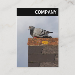 V Leiter - Gute Morgentaube Visitenkarte