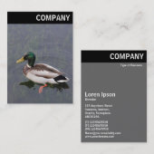 V Leiter: Mallard Duck Visitenkarte (Vorne/Hinten)