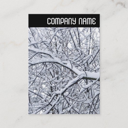 V-Leiter - Schneebründe Zweige Visitenkarte (Vorderseite)