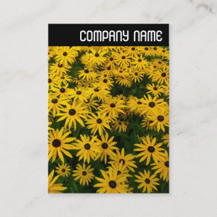 V. Leiter - Schwarz-mit Augen Susans (Rudbeckia Hi Visitenkarte