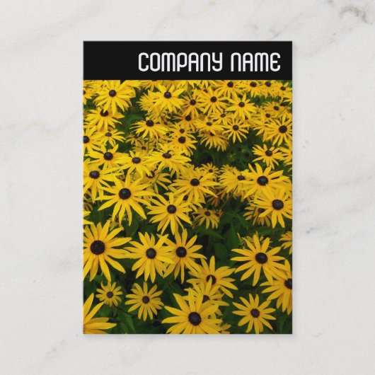 V. Leiter - Schwarz-mit Augen Susans (Rudbeckia Hi Visitenkarte (Vorderseite)