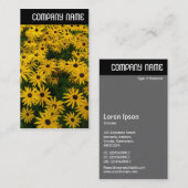 V. Leiter - Schwarz-mit Augen Susans (Rudbeckia Hi Visitenkarte (Vorne/Hinten)