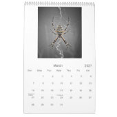 V-Licht 2013 Kalender (Mär 2027)