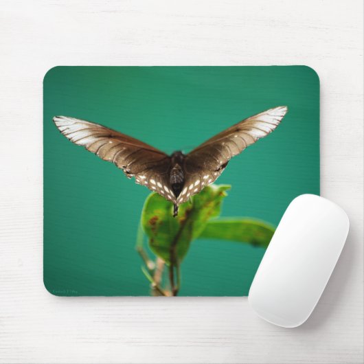 V Mousepad (Mit Mouse)